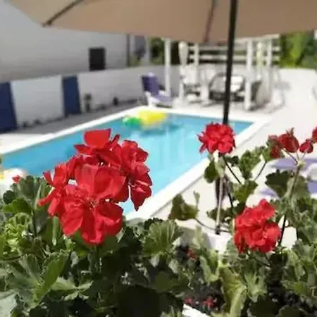 Charming In With Private Pool *